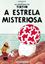 Imagem de AVENTURAS DE TINTIM, AS - A ESTRELA MISTERIOSA