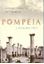 Imagem de POMPEIA - A CIDADE VIVA