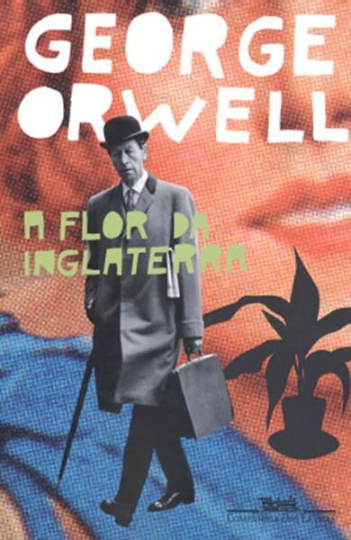 Picture of A FLOR DA INGLATERRA