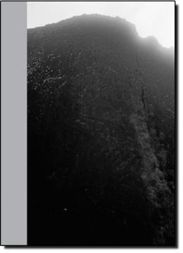 Imagem de PAISAGEM ZERO