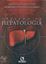 Imagem de TRATADO DE HEPATOLOGIA 