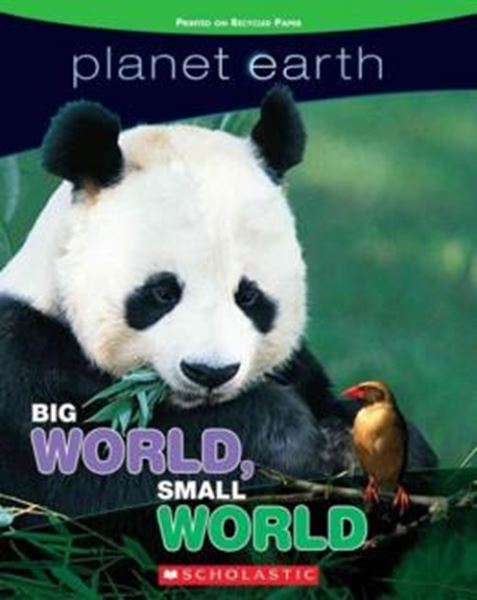 Picture of PLANET EARTH - BIG WORLD, SMALL WORLD