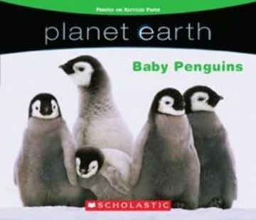 Imagem de PLANET EARTH - BABY PENGUINS