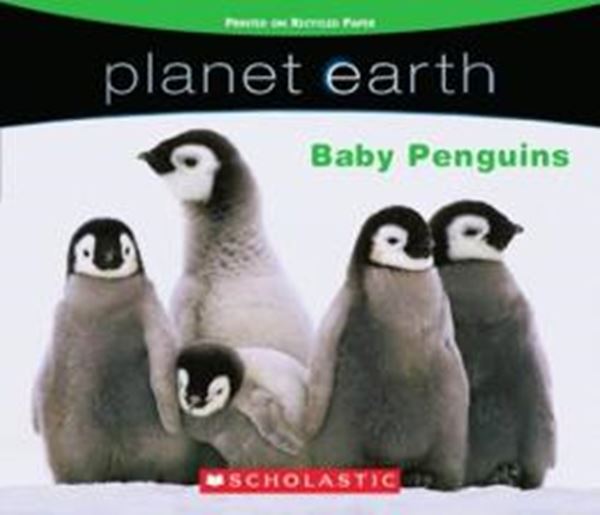 Picture of PLANET EARTH - BABY PENGUINS