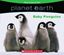 Imagem de PLANET EARTH - BABY PENGUINS