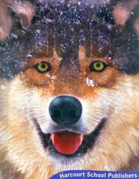 Imagem de SCIENCE SB GRADE 4