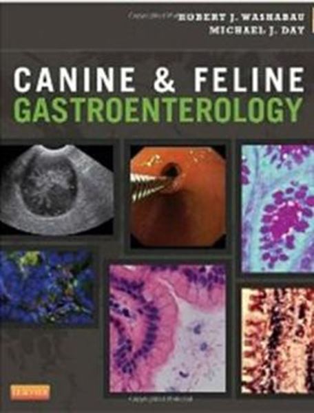 Picture of CANINE AND FELINE GASTROENTEROLOGY
