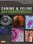Imagem de CANINE AND FELINE GASTROENTEROLOGY