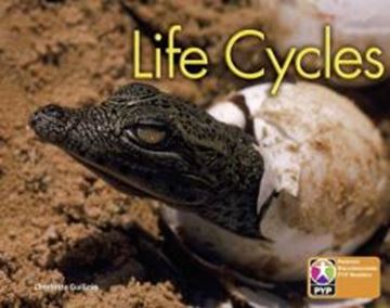 Imagem de LIFE CYCLES 6