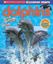 Imagem de SCHOLASTIC DISCOVER MORE - DOLPHINS