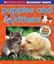 Imagem de SCHOLASTIC DISCOVER MORE - PUPPIES & KITTENS