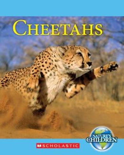 Picture of CHEETAHS