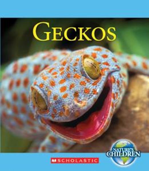 Picture of GECKOS