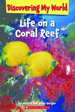 Imagem de DISCOVERING MY WORLD - UNDER THE SEA -  LIFE ON A CORAL REEF