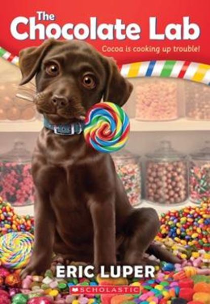 Picture of CHOCOLATE LAB, THE