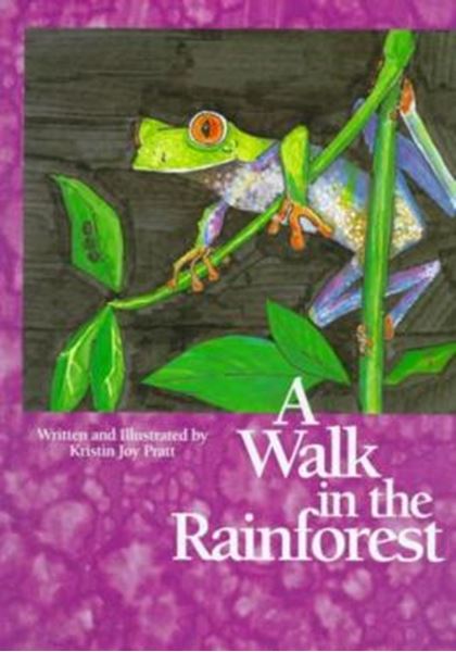 Picture of A WALK IN THE RAINFOREST