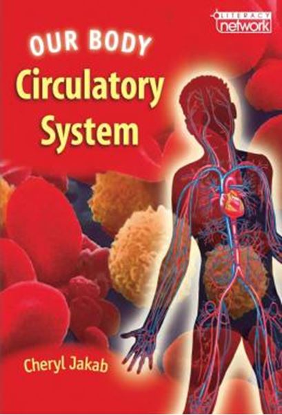 Picture of OUR BODY - CIRCULATORY SYSTEM