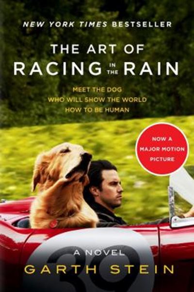 Picture of THE ART OF RACING IN THE RAIN TIE-IN - A NOVEL
