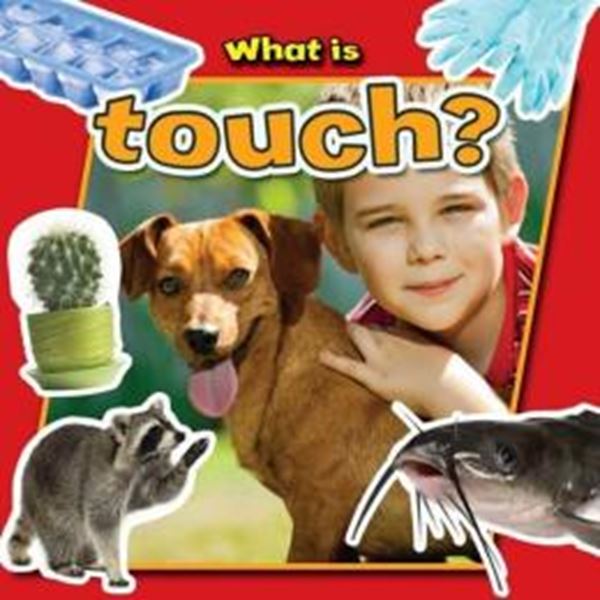 Picture of WHAT IS TOUCH?
