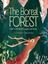 Imagem de THE BOREAL FOREST