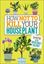 Imagem de HOW NOT TO KILL YOUR HOUSEPLANT - SURVIVAL TIPS FOR THE HORTICULTURALLY CHALLENGED