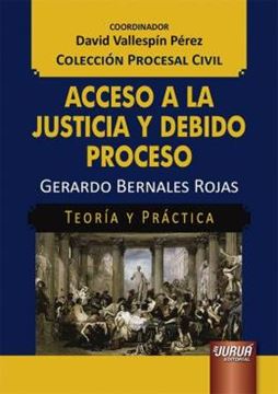 Imagem de ACCESO A LA JUSTICIA Y DEBIDO PROCESO - TEORIA Y PRACTICA