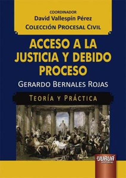 Picture of ACCESO A LA JUSTICIA Y DEBIDO PROCESO - TEORIA Y PRACTICA