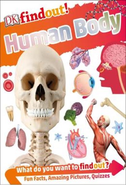 Picture of DKFINDOUT! HUMAN BODY