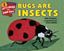 Imagem de BUGS ARE INSECTS - LEVEL 1