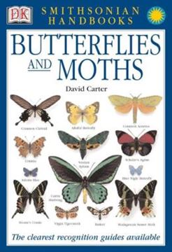 Imagem de HANDBOOKS - BUTTERFLIES & MOTHS - THE CLEAREST RECOGNITION GUIDE AVAILABLE
