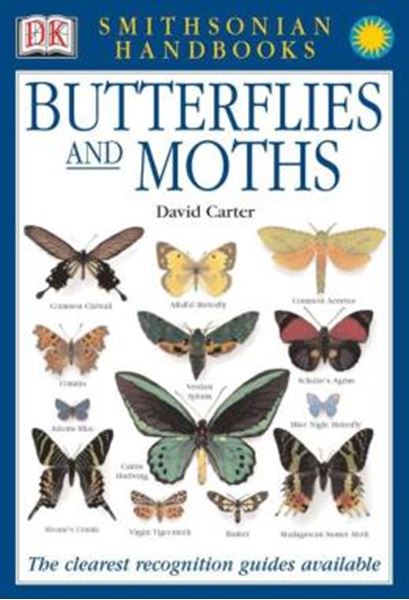 Picture of HANDBOOKS - BUTTERFLIES & MOTHS - THE CLEAREST RECOGNITION GUIDE AVAILABLE