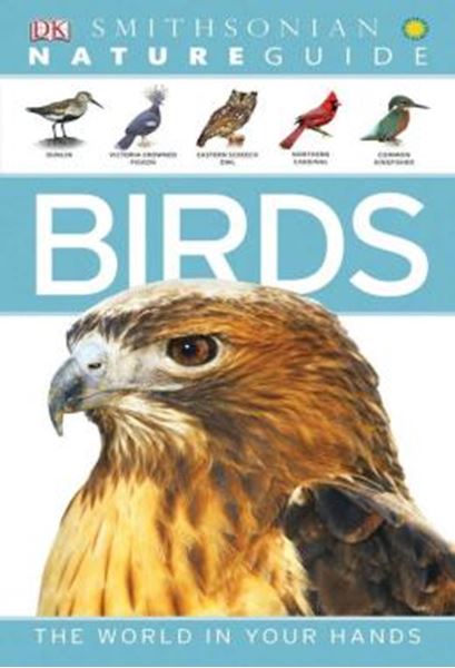 Picture of NATURE GUIDE - BIRDS - THE WORLD IN YOUR HANDS
