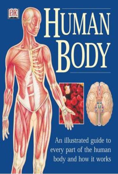 Picture of THE HUMAN BODY - AN ILLUSTRATED GUIDE TO EVERY PART OF THE HUMAN BODY AND HOW IT WORKS
