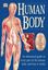 Imagem de THE HUMAN BODY - AN ILLUSTRATED GUIDE TO EVERY PART OF THE HUMAN BODY AND HOW IT WORKS