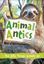 Imagem de ANIMAL ANTICS