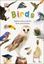Imagem de BIRDS - EXPLORE NATURE WITH FUN FACTS AND ACTIVITIES