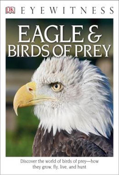 Picture of DK EYEWITNESS BOOKS - EAGLE AND BIRDS OF PREY - DISCOVER THE WORLD OF BIRDS OF PREY HOW THEY GROW, FLY, LIVE, AND HUNT