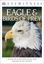 Imagem de DK EYEWITNESS BOOKS - EAGLE AND BIRDS OF PREY - DISCOVER THE WORLD OF BIRDS OF PREY HOW THEY GROW, FLY, LIVE, AND HUNT