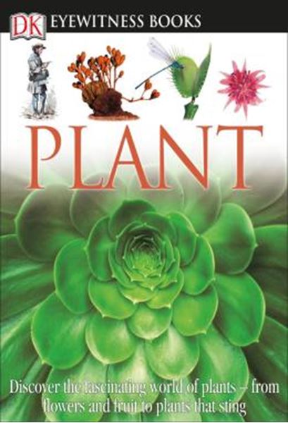 Picture of DK EYEWITNESS BOOKS: PLANT - DISCOVER THE FASCINATING WORLD OF PLANTS FROM FLOWERS AND FRUIT TO PLANTS THAT STING