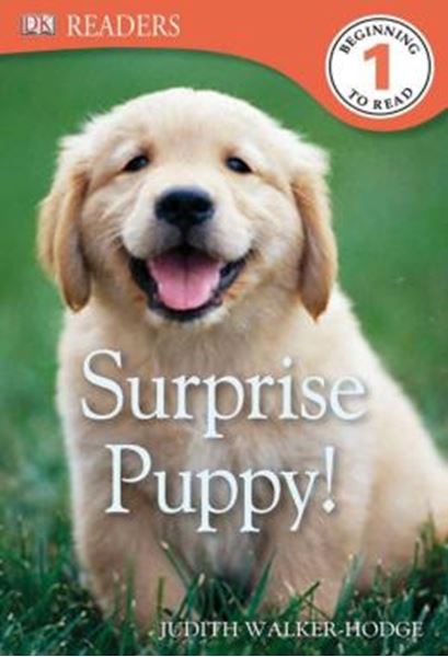 Picture of DK READERS L1 - SURPRISE PUPPY