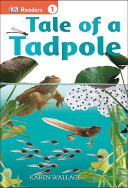 Picture of DK READERS L1 - TALE OF A TADPOLE