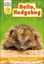 Imagem de DK READERS L2 - HELLO HEDGEHOG