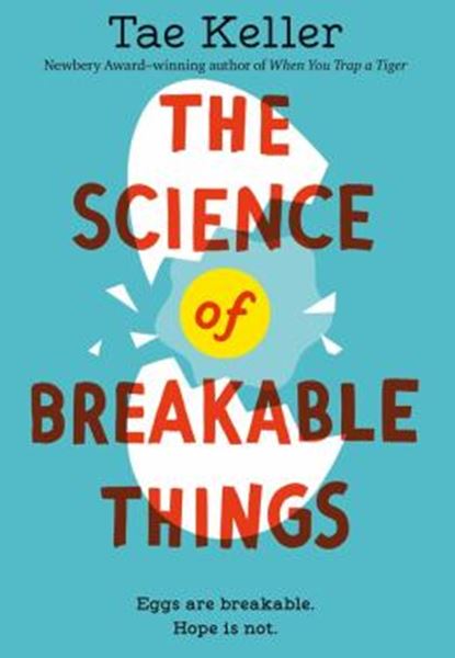Picture of THE SCIENCE OF BREAKABLE THINGS