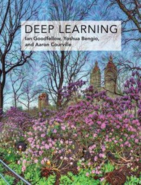 Picture of DEEP LEARNING