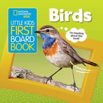 Imagem de LITTLE KIDS FIRST BOARD BOOK - BIRDS