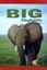 Imagem de BIG ELEPHANTS