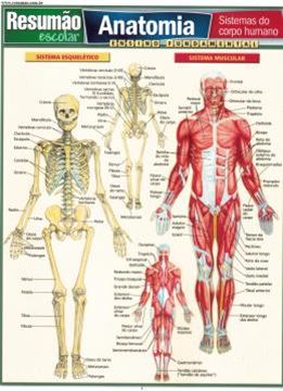 Imagem de RESUMAO - ANATOMIA - SISTEMAS DO CORPO HUMANO