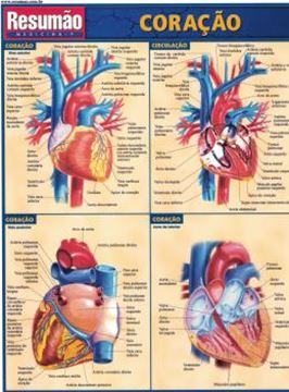 Imagem de RESUMAO - CORACAO