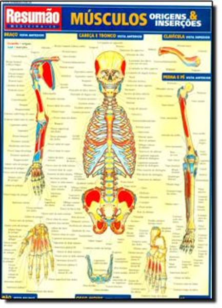 Picture of RESUMAO - MUSCULOS ORIGENS - INSERCOES
