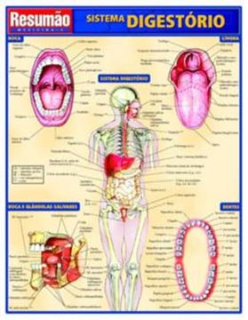 Imagem de RESUMAO - SISTEMA DIGESTORIO